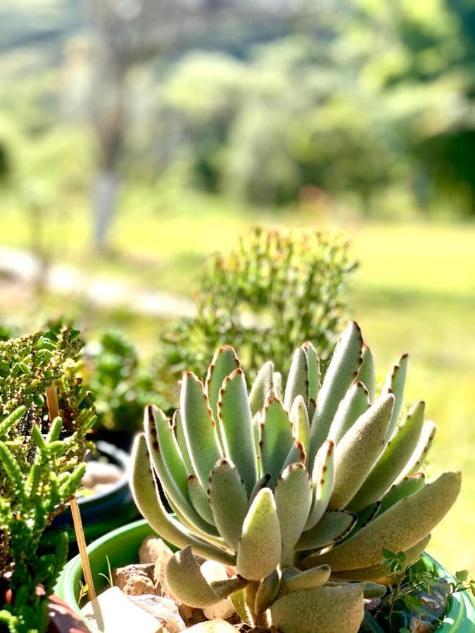 Recanto Roca Grande 쿠냐 외부 사진